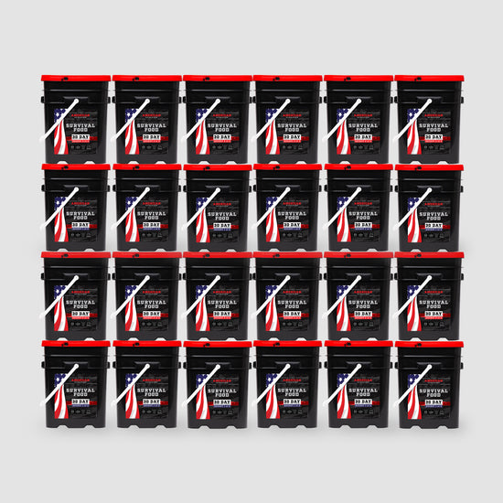 Twenty black buckets with red lids, branded 12 Month Emergency Food Supply by American Reserves, display an American flag design. Filled with freeze-dried food lasting 25 years and arranged in a 4x5 grid against a plain gray backdrop.