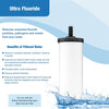 British Berkefeld Doulton Ultra Fluoride Ceramic Drinking Water Filter Cartridge for All Gravity Water Filter Systems